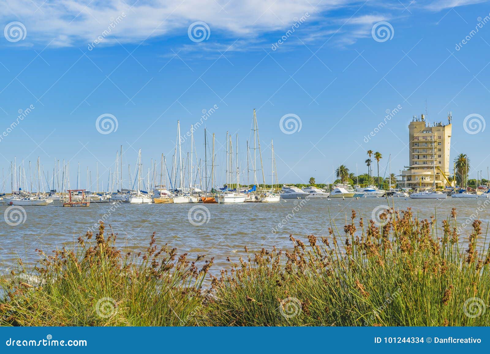 buceo port, montevideo, uruguay