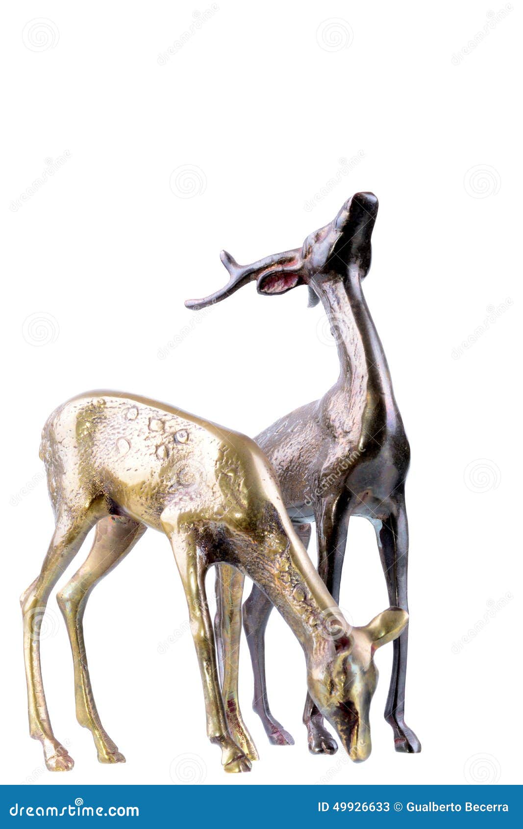 Buck and Doe stock image. Image of fawn, golden, profile 49926633