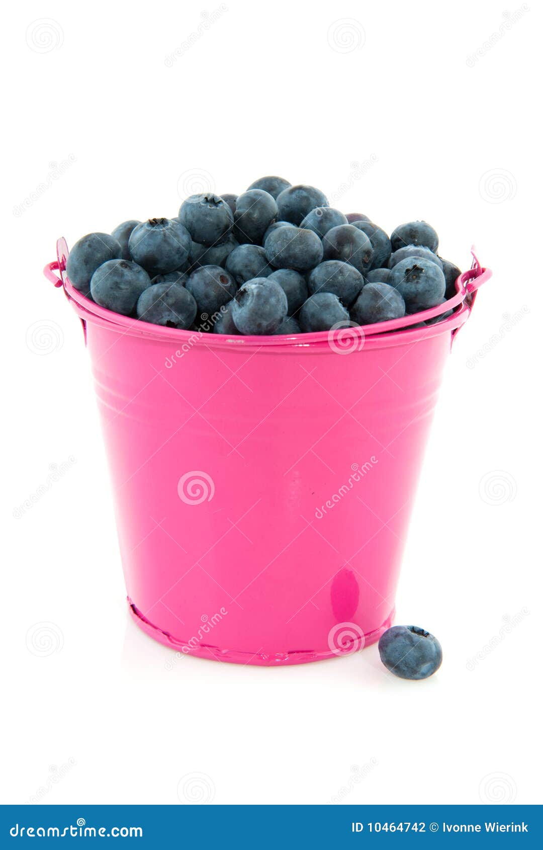 Bucket blueberries stock photo. Image of whortleberries 10464742