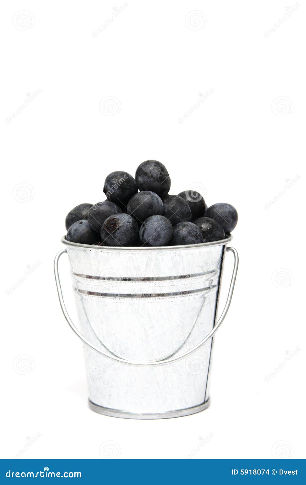 Bucket of Blueberries stock photo. Image of fiber, small 5918074
