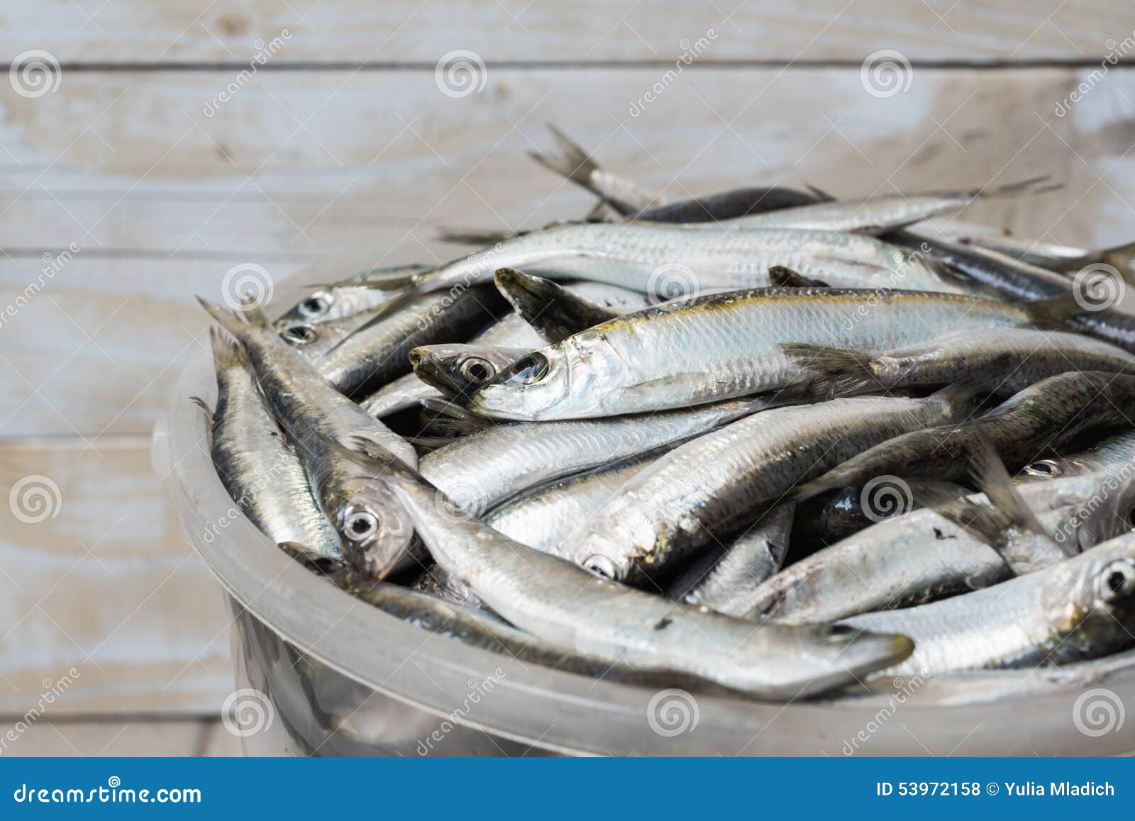 Bucket with fish stock photo. Image of background, healthy - 53972158