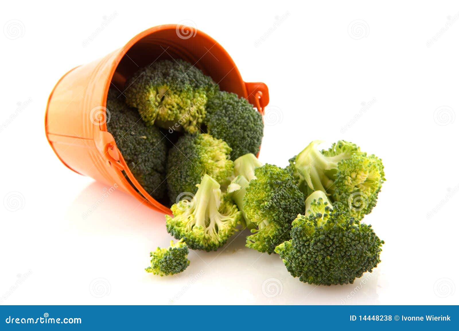 Bucket with fresh broccoli stock photo. Image of preparing 14448238