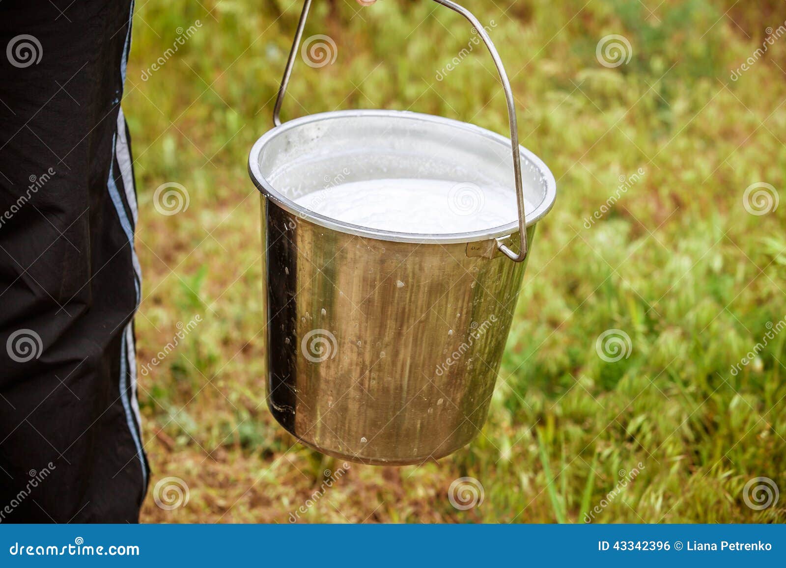 Bucket with milk stock photo. Image of bucket, white 43342396