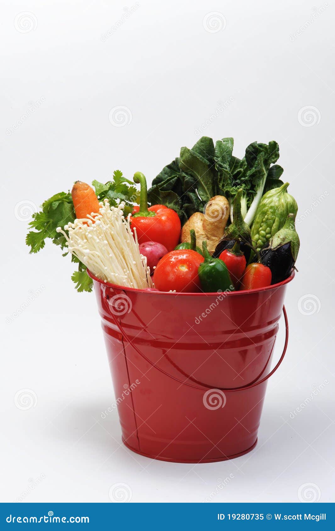 Bucket of Vegetables stock image. Image of leaves, carrot 19280735