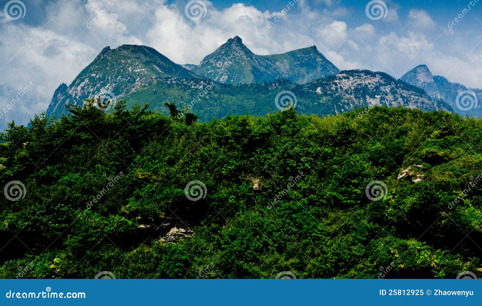 the buckhorn ridge of qinling mountain