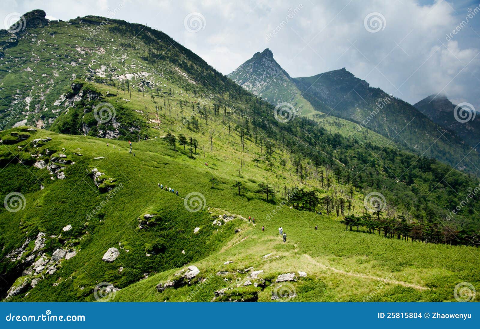 the buckhorn ridge of qinling mountain