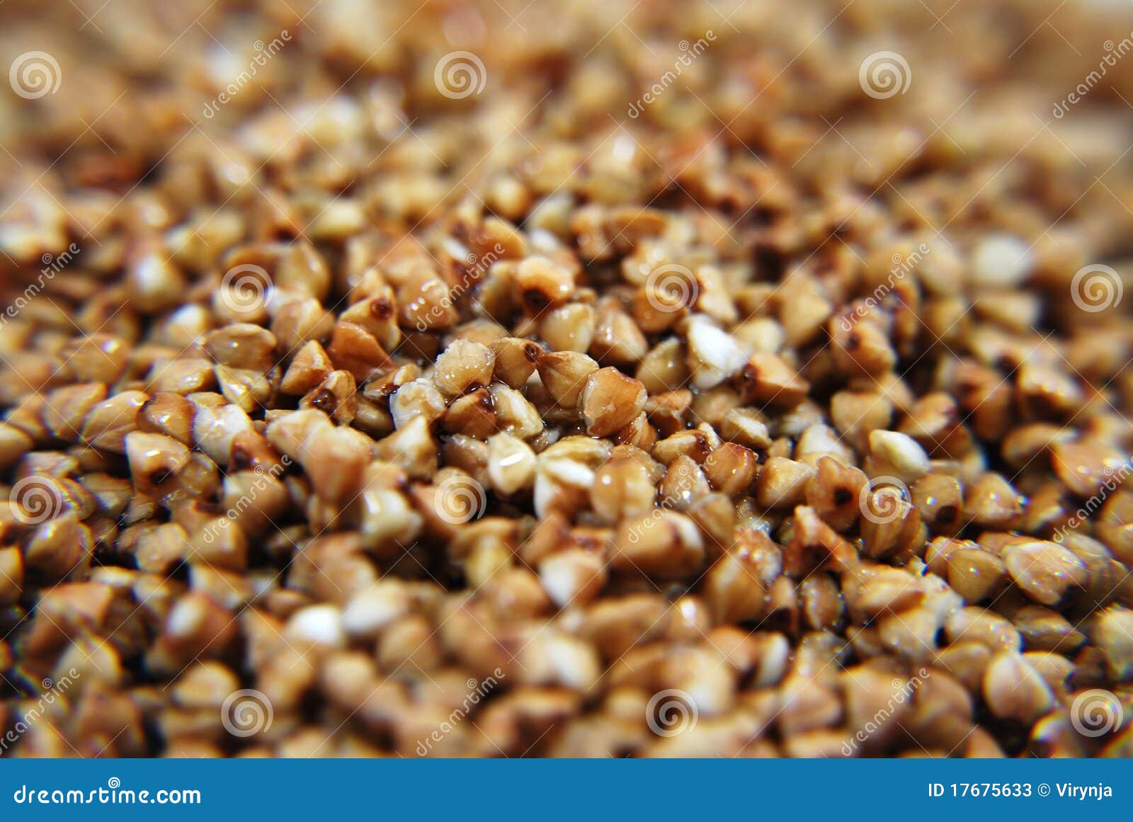 Buckwheat stock image. Image of small, buckwheat, seeds 17675633