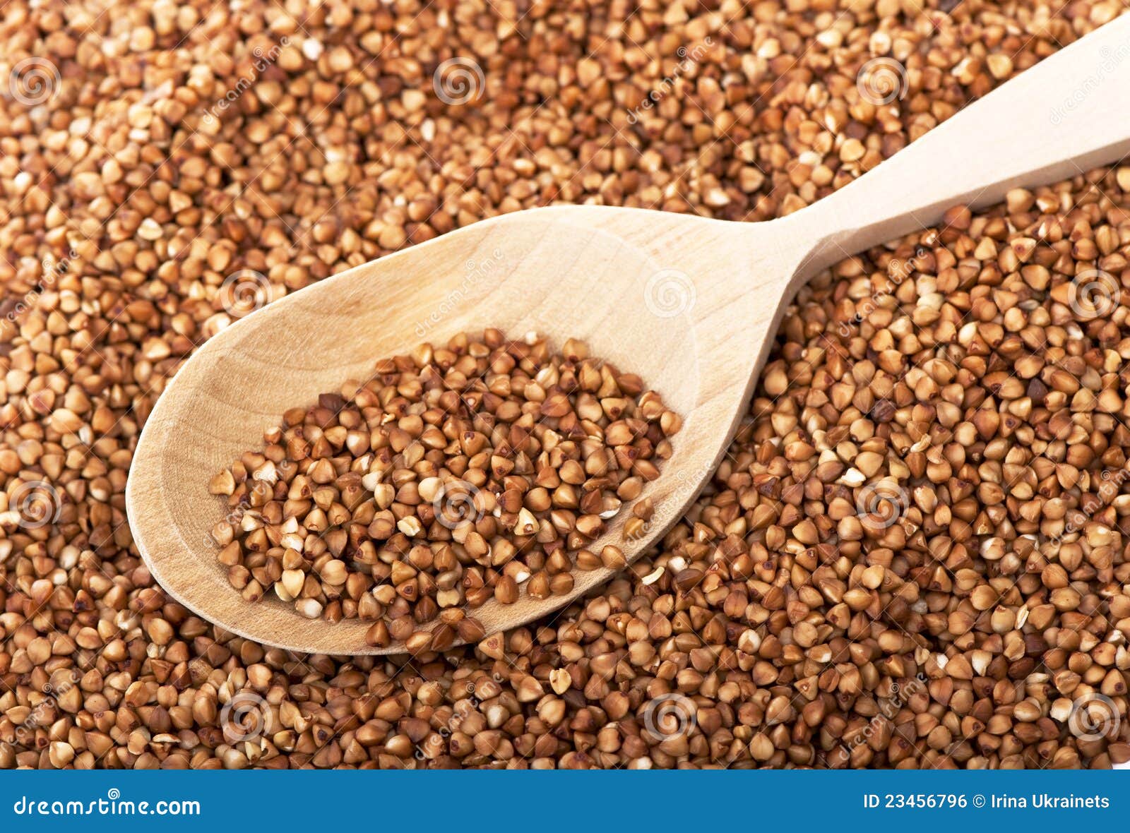 Buckwheat stock photo. Image of plant, seed, ingredients 23456796