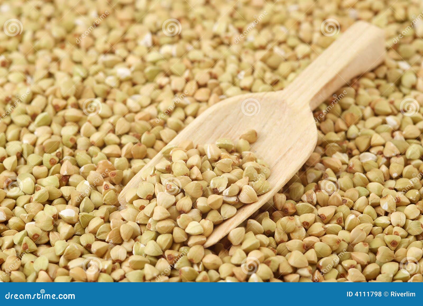 Buckwheat stock photo. Image of seeds, cuisine, cook, barley 4111798