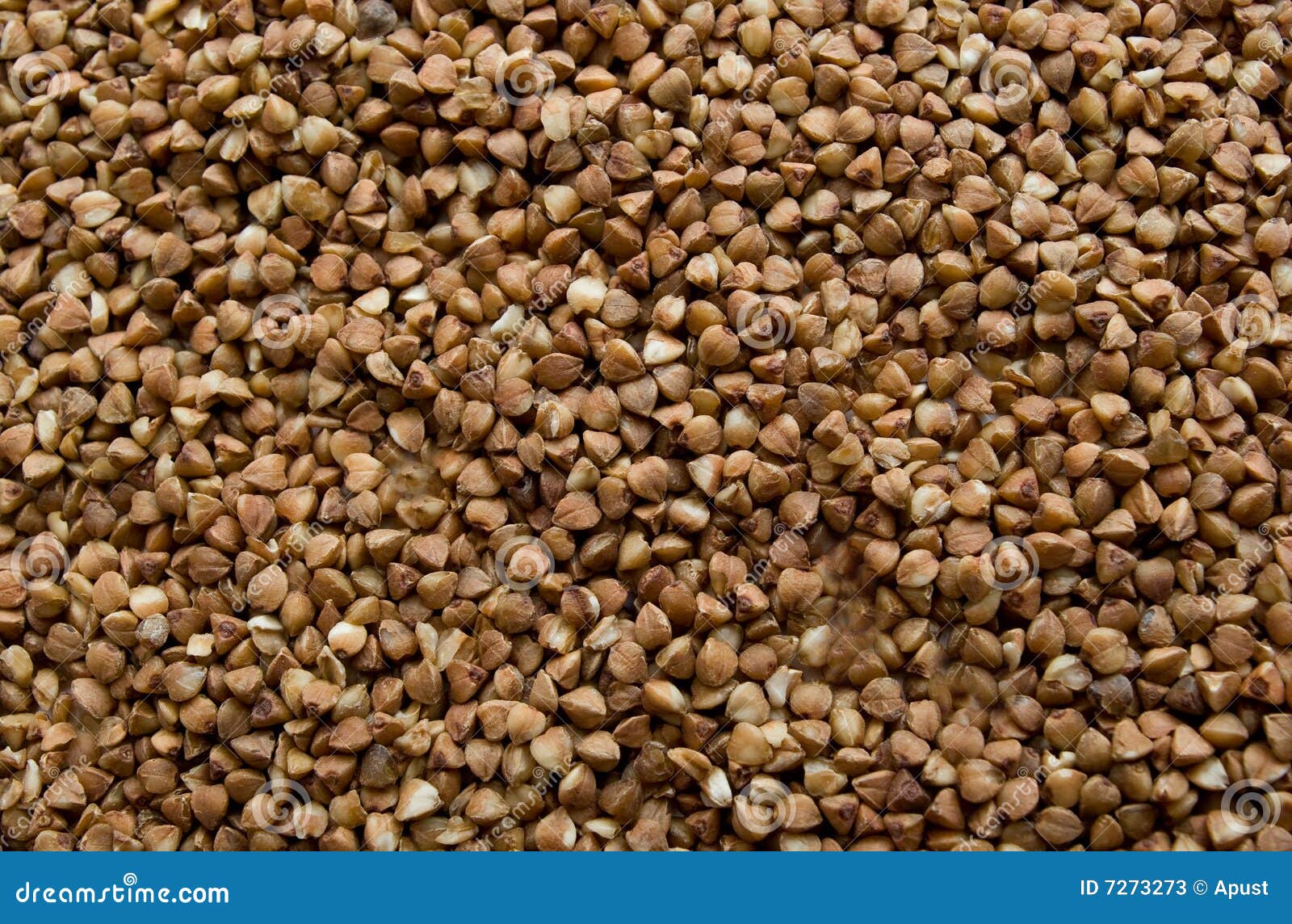 Buckwheat background stock image. Image of grains, meal - 7273273