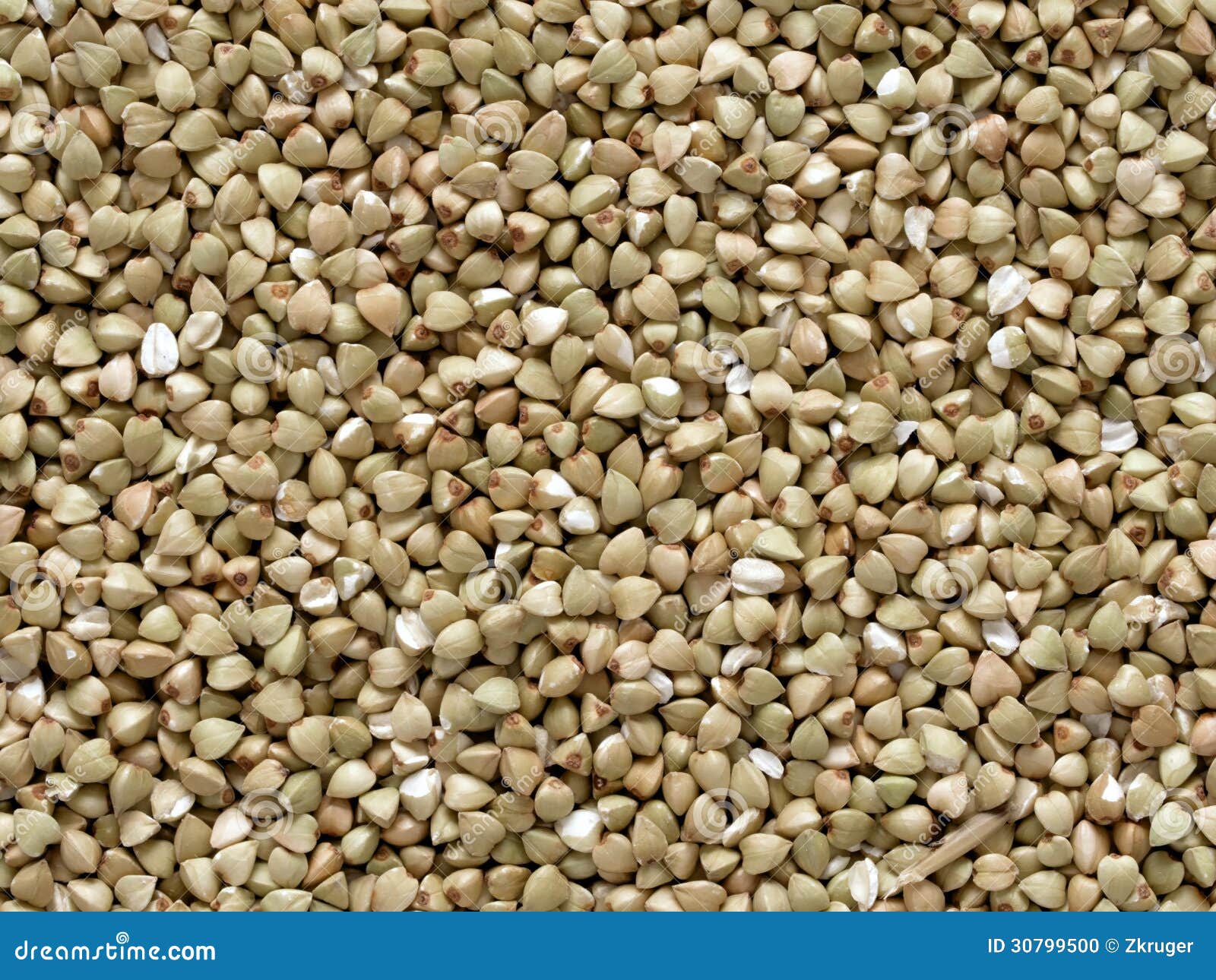 Buckwheat grains stock photo. Image of ingredient, closeup 30799500