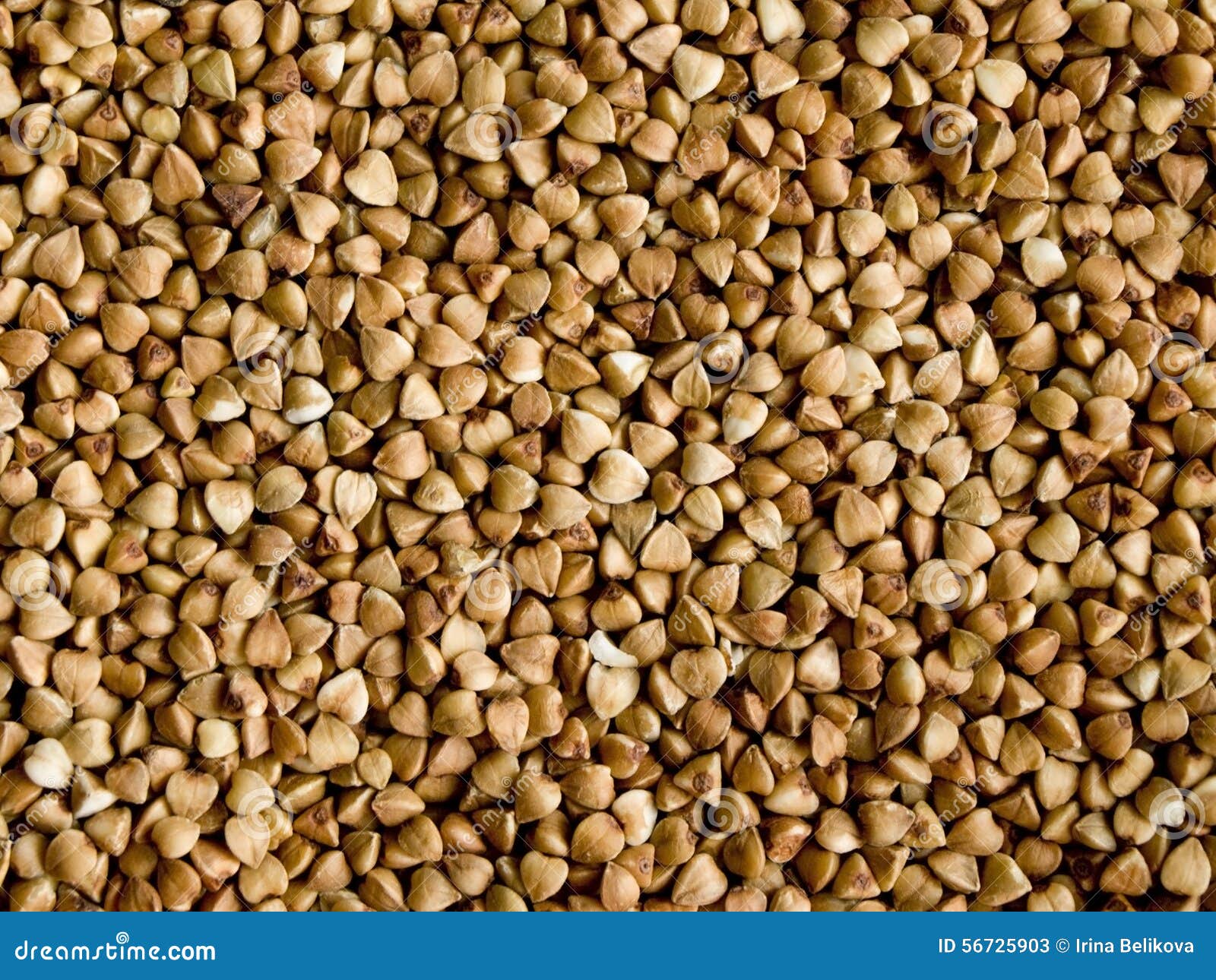 Buckwheat groats stock image. Image of protein, cereals 56725903