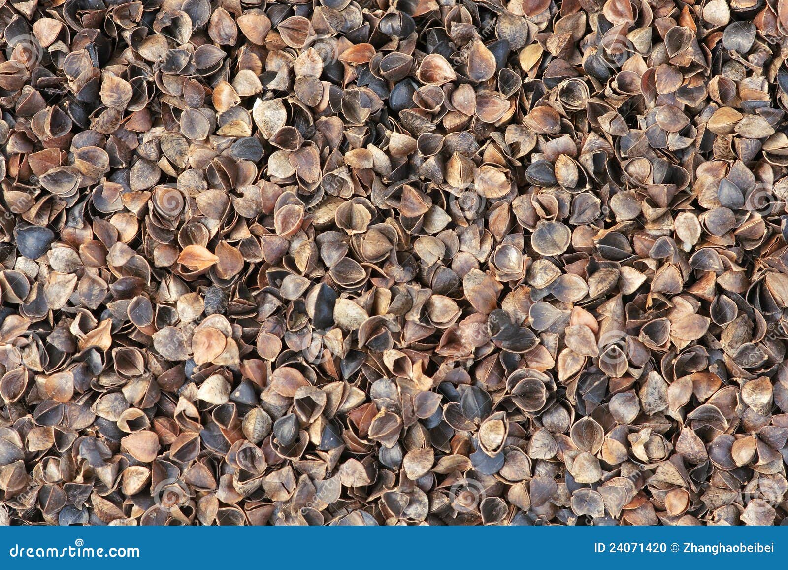 Buckwheat hulls stock photo. Image of brown, natural - 24071420