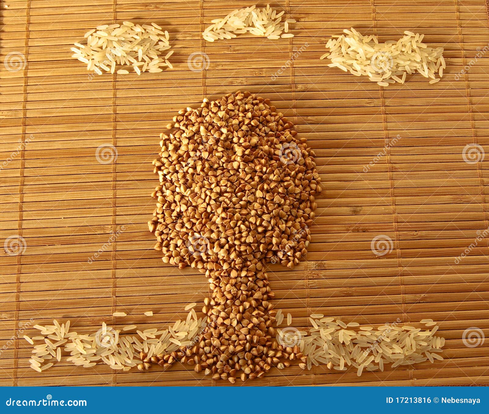 Buckwheat and rice stock photo. Image of horizontal, tree 17213816