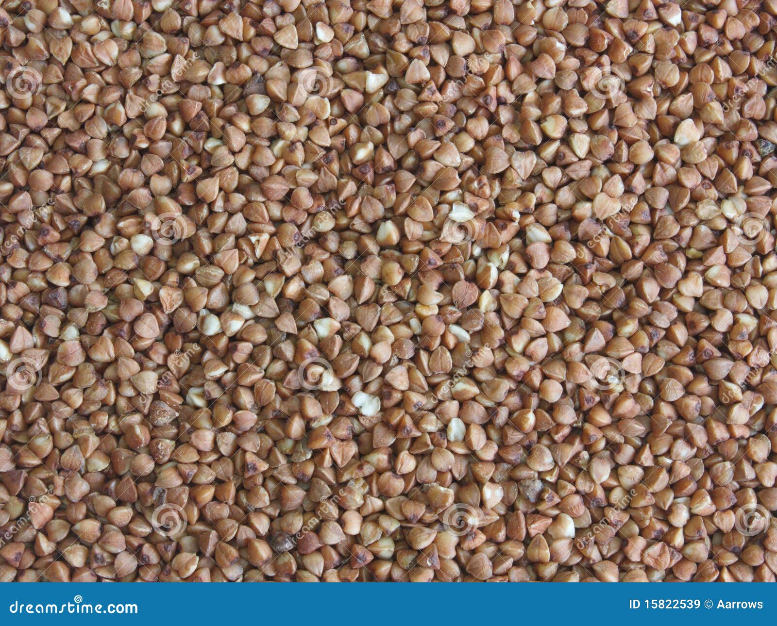 Buckwheat seeds stock image. Image of gluten, texture 15822539