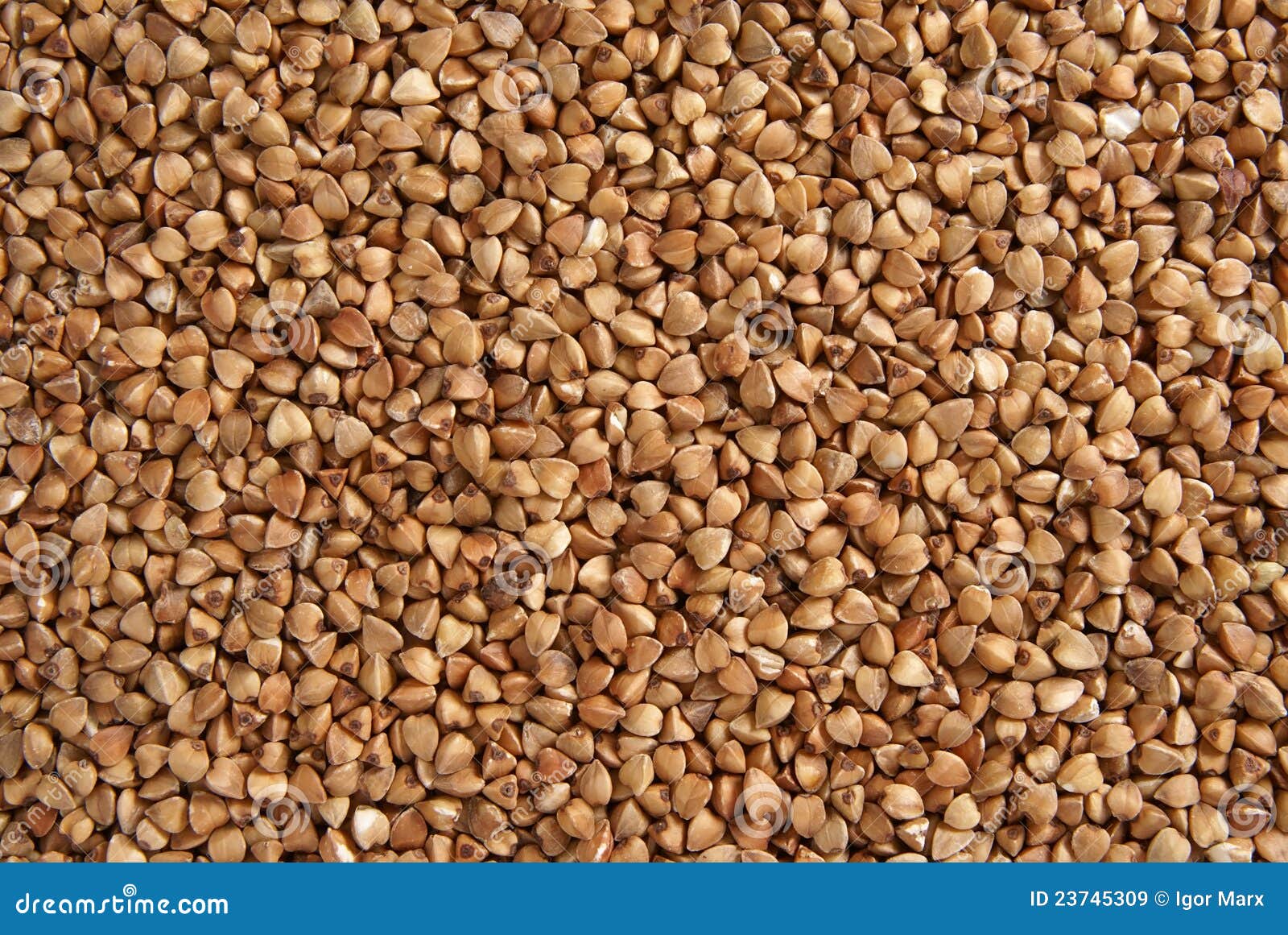 Buckwheat seeds stock image. Image of core, cuisine, food 23745309