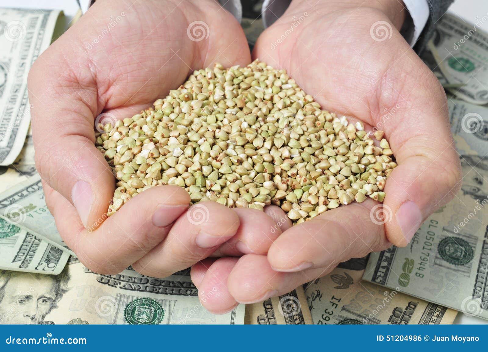 buckwheat seeds and dollar banknotes, depicting the agribusiness