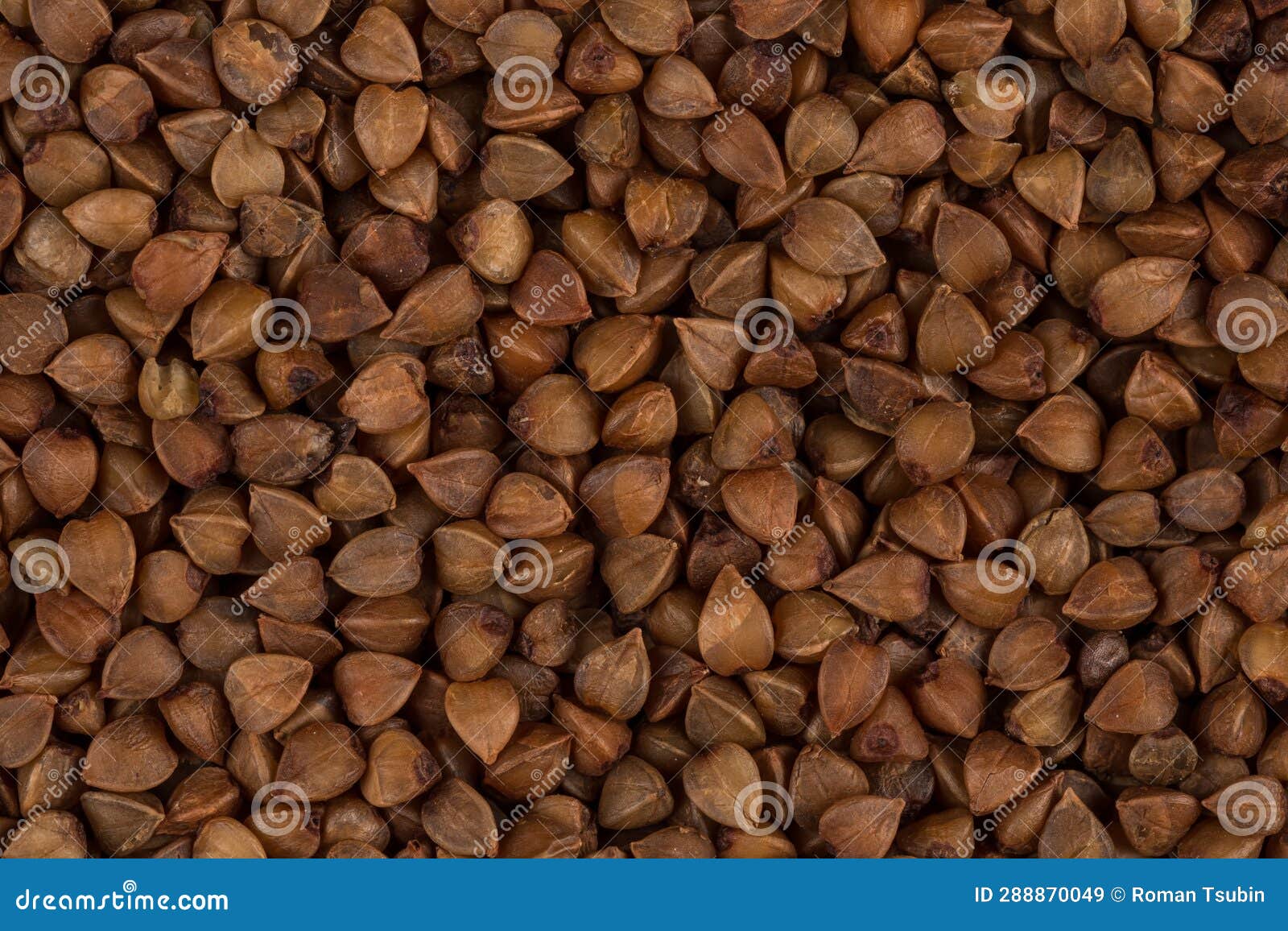 Buckwheat texture stock image. Image of cereal, groats 288870049