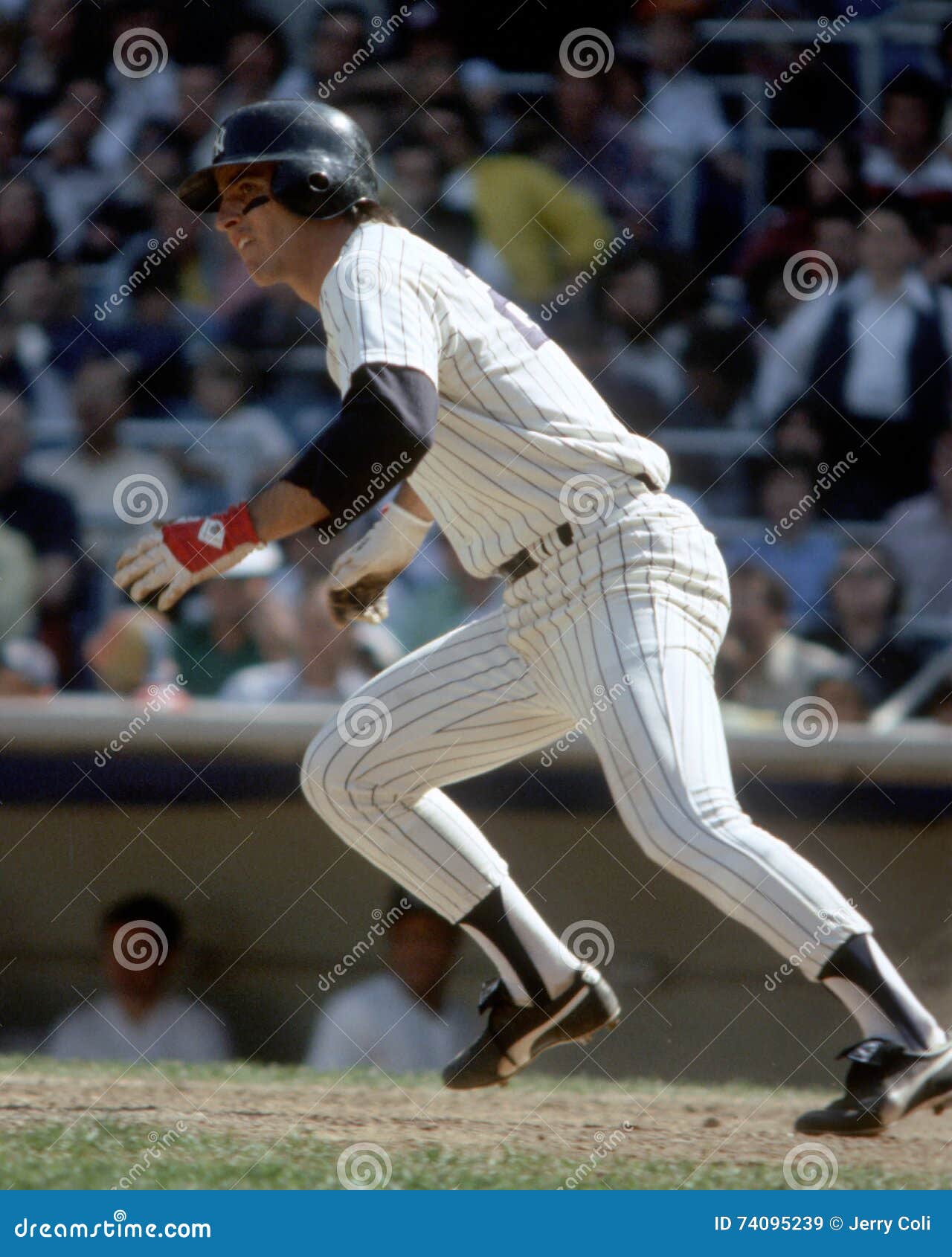 Bucky Dent Stock Photos - Free & Royalty-Free Stock Photos from Dreamstime