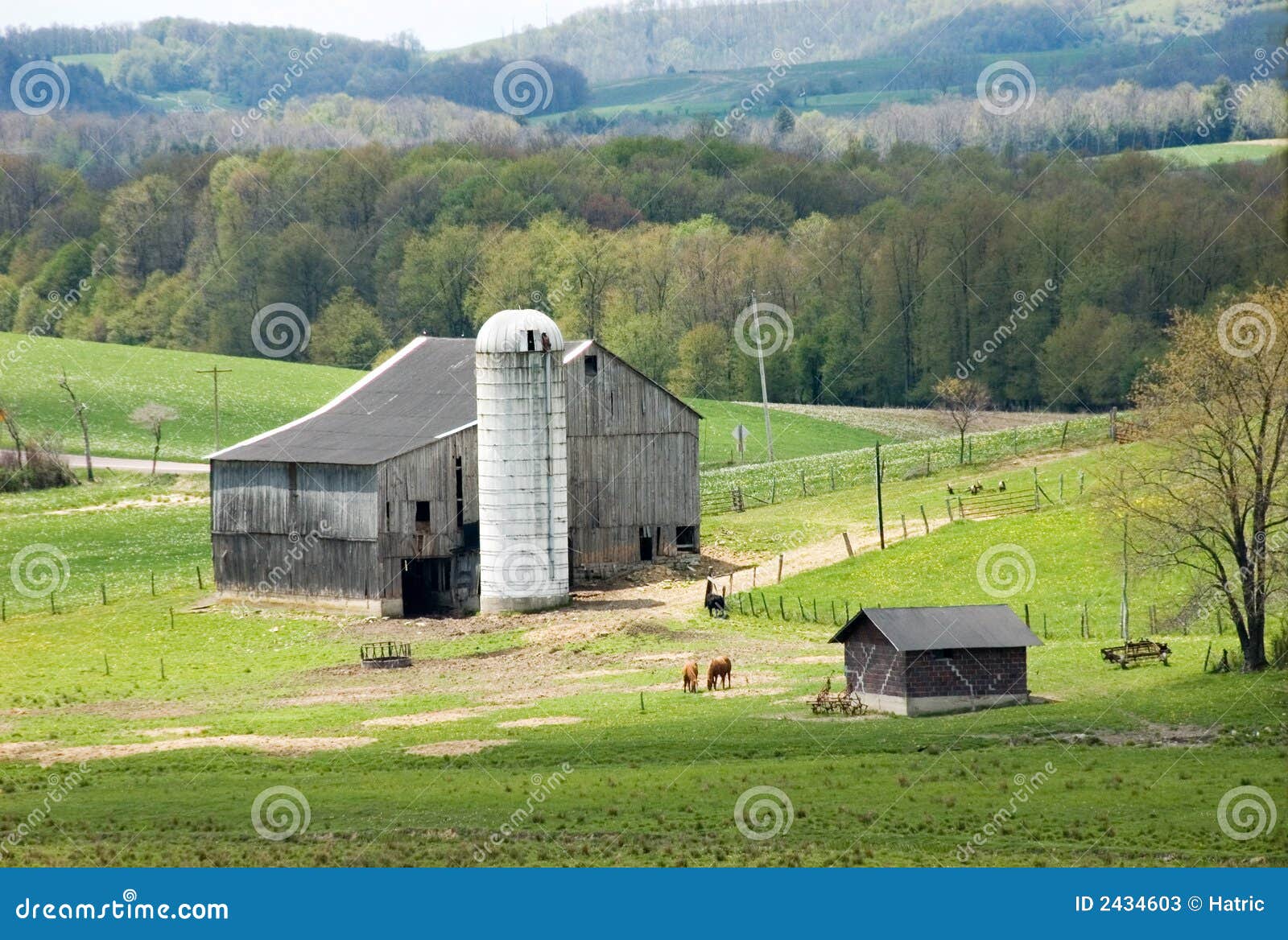 bucolic landscape #3