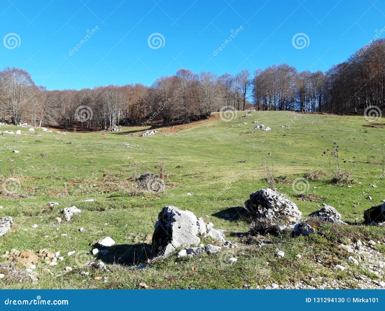 bucolic landscape near rome, campaegli