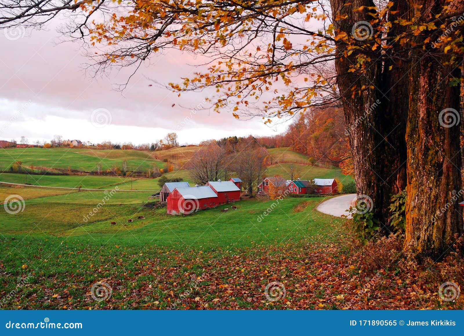 a bucolic rural scene in late autumn