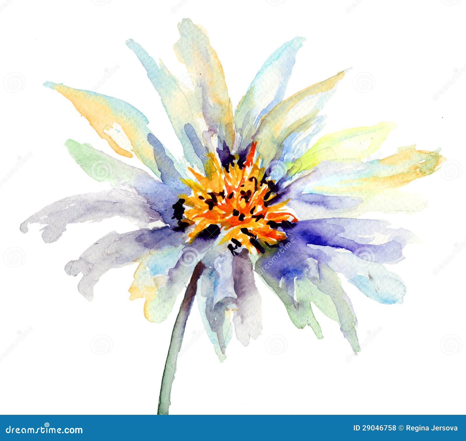 The Bud of flower stock illustration. Illustration of nature - 29046758