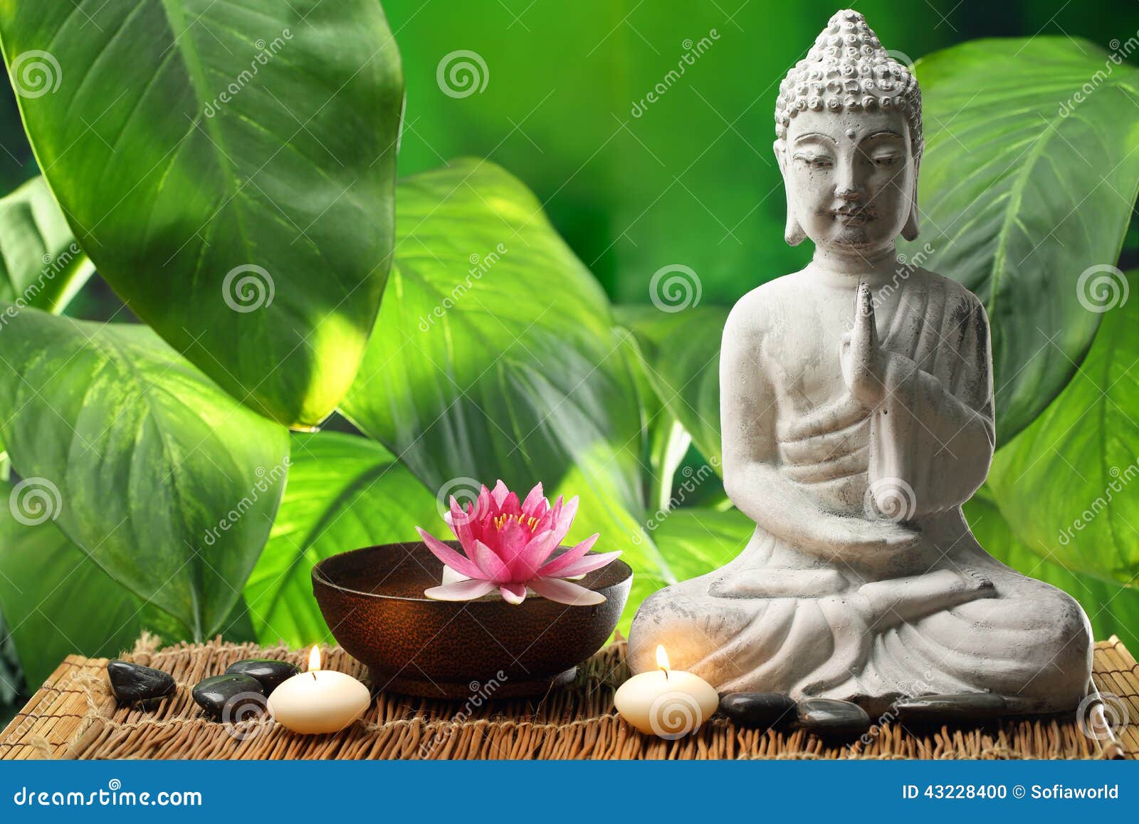 Buddha In Der Meditation Stockfoto Bild Von Palme Basalt 43228400