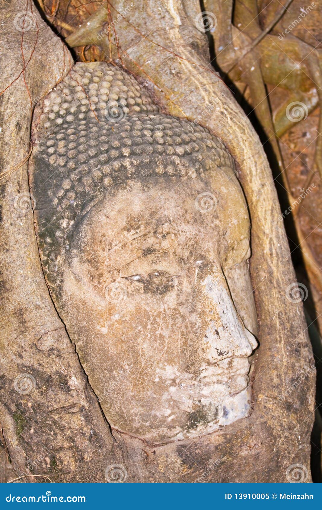 Buddha Face Covered by Roots Mahathat Temple Stock Image Image of