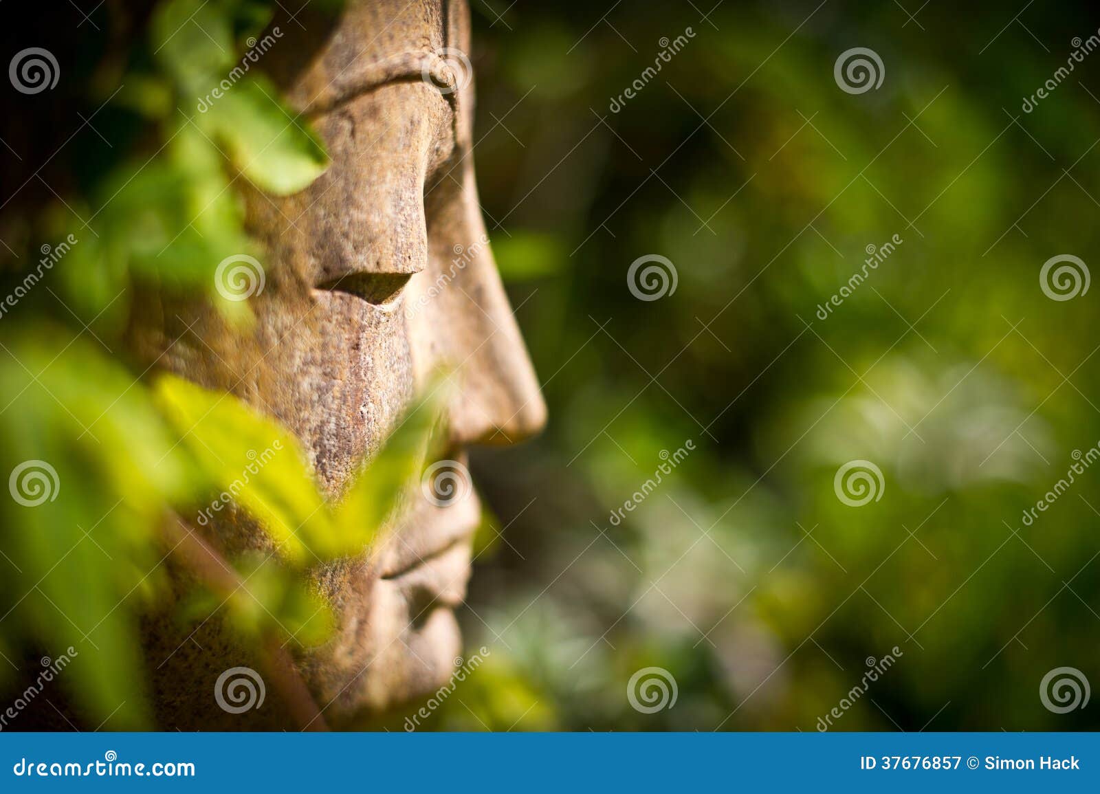 buddha face in a garden