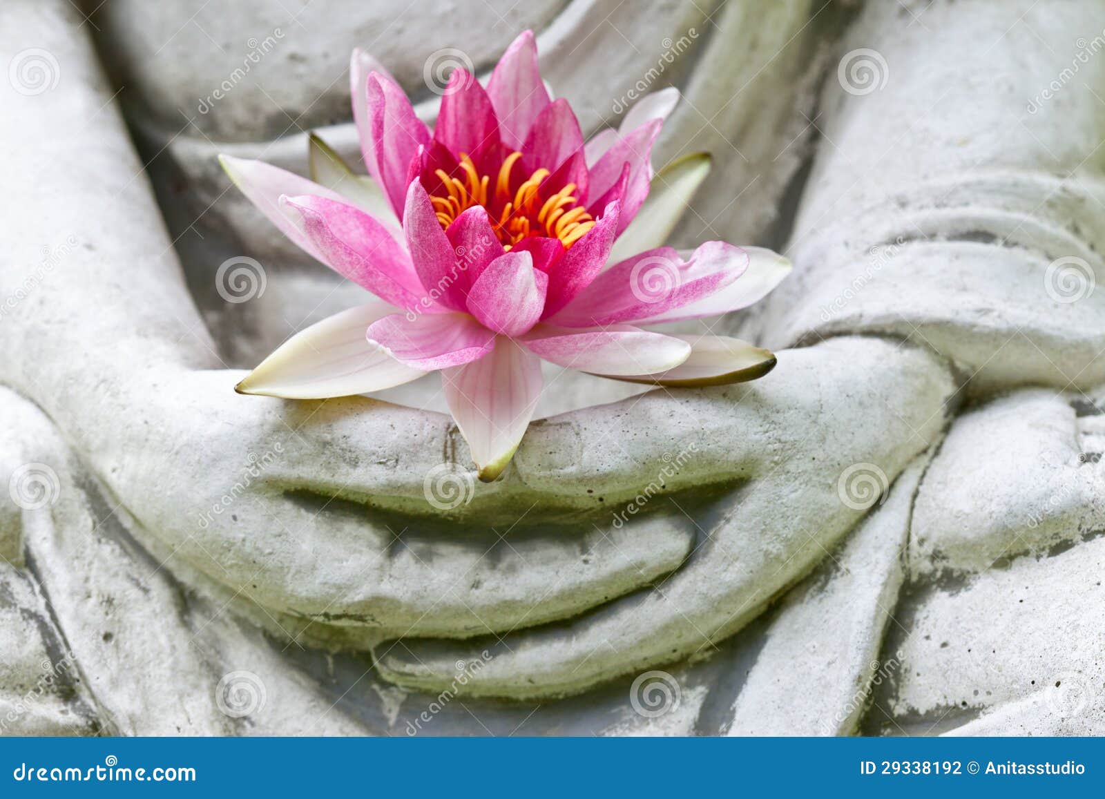 Buddha Hands Holding Flower Stock Photo Image of praying, gold 29338192