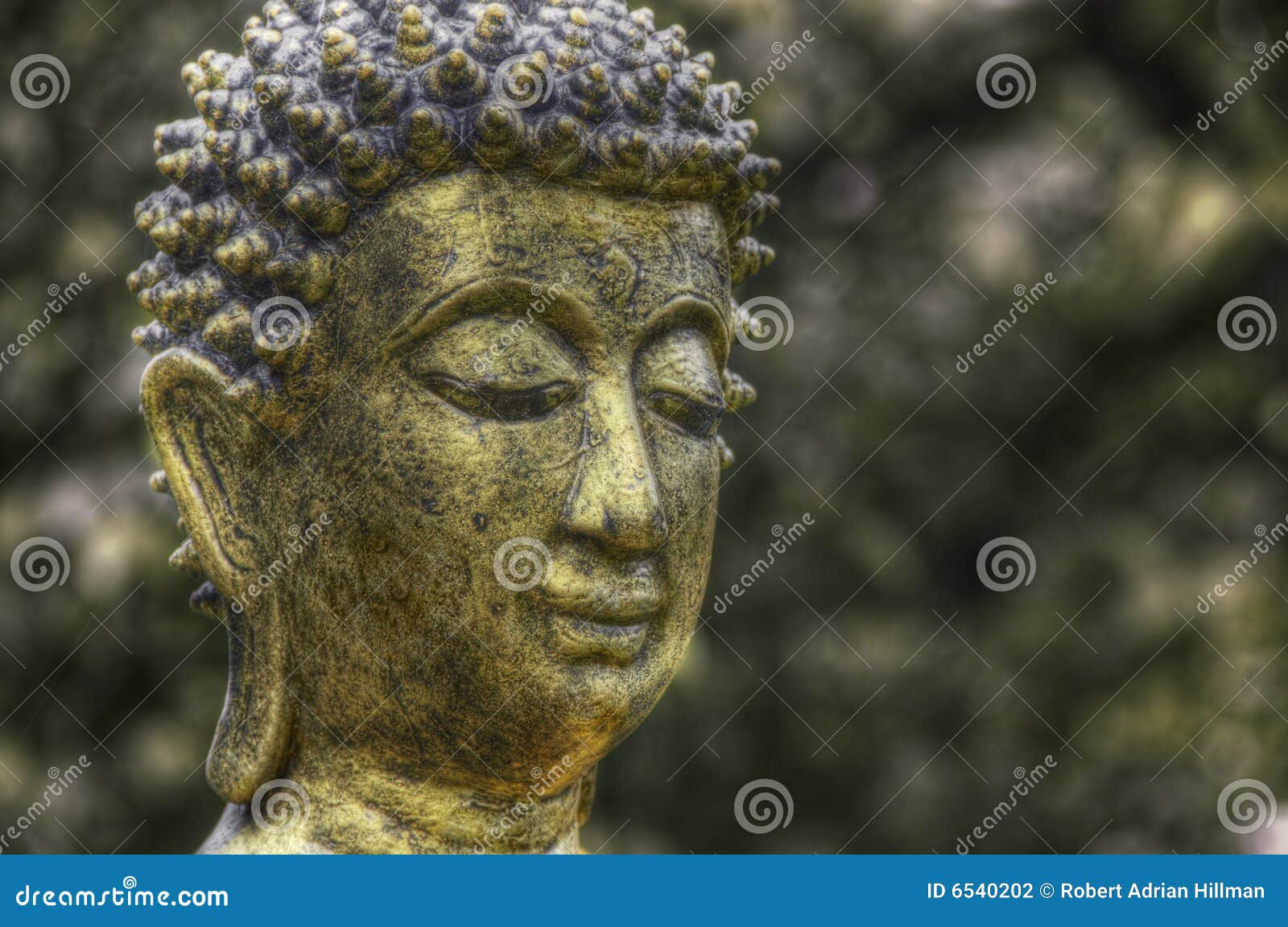 Buddha head stock photo. Image of golden, thailand, buddhism 6540202