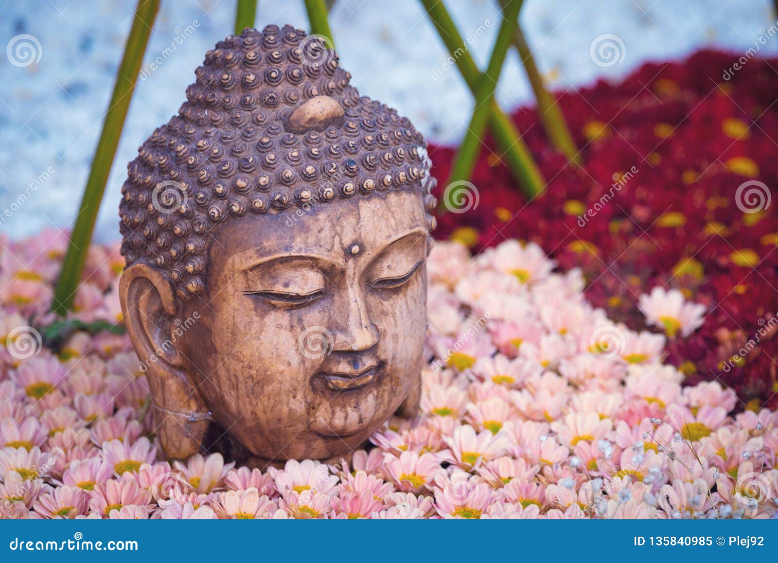 Buddha Head Statue on a Flower Bed Stock Image Image of statue