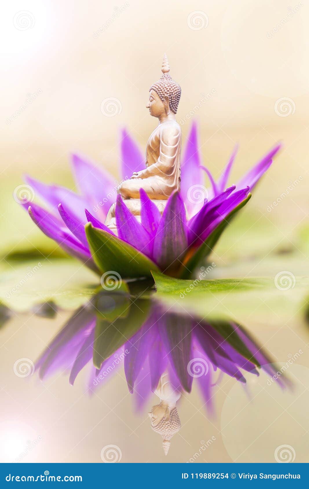 Buddha and Lotus Represent the Faith. Stock Photo - Image of landscape ...