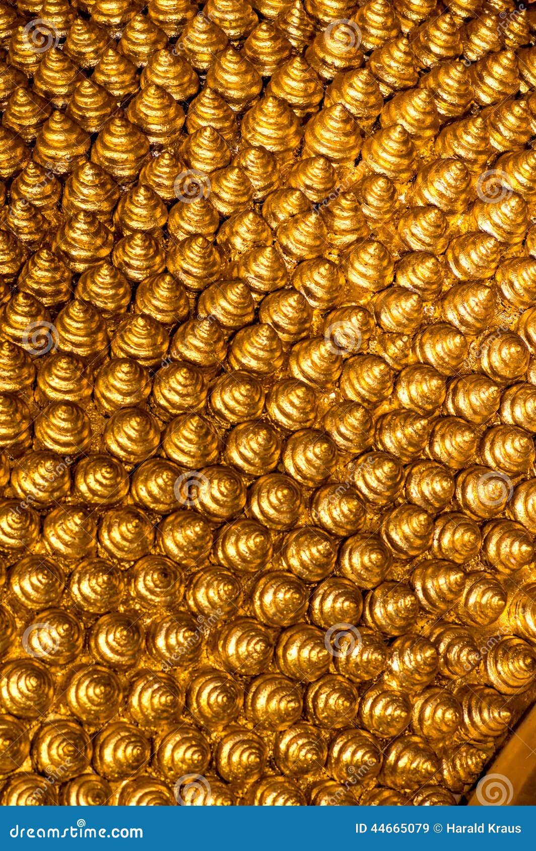 Buddha s curls stock image. Image of tranquil, asia, exotic - 44665079 Buddha s curls stock image. Image of tranquil, asia, exotic - 44665079