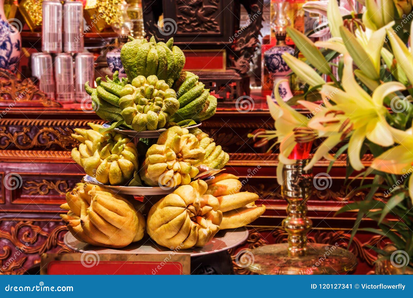 buddha`s hand citrus medica var. sarcodactylus or fingered citron, vietnamese - phat thu.the fruit given as religious offering