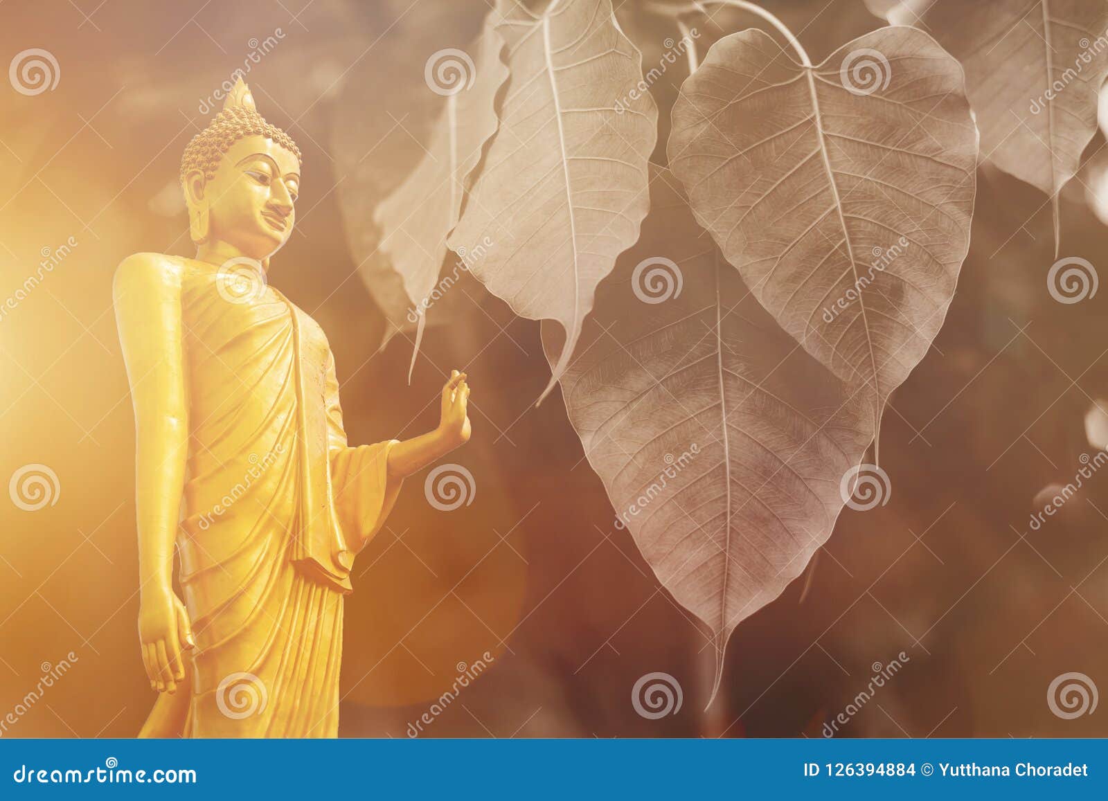 buddha statue , double exposure bo leaf and len flare.