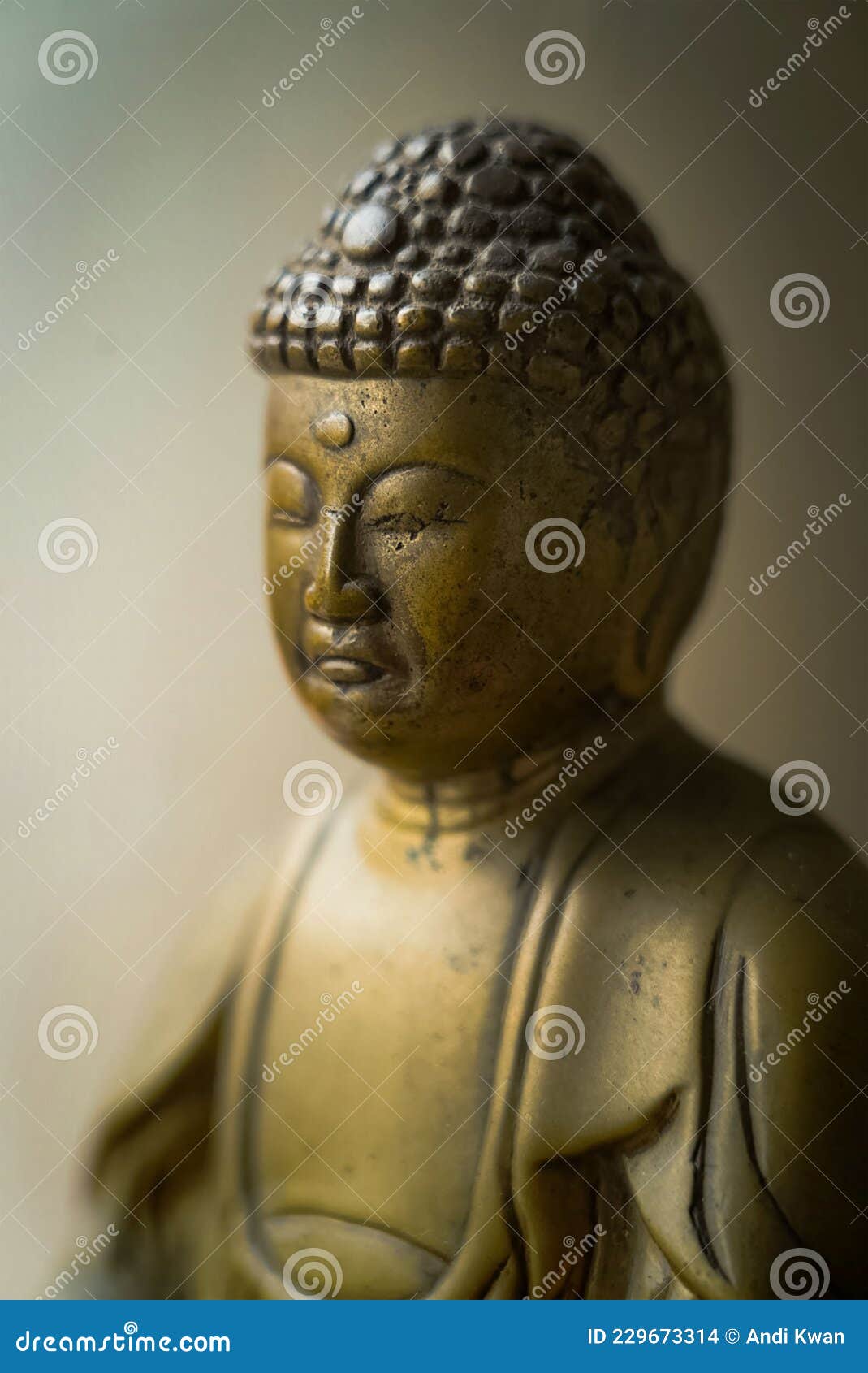 The Buddha Statue at Home stock photo. Image of praying 229673314