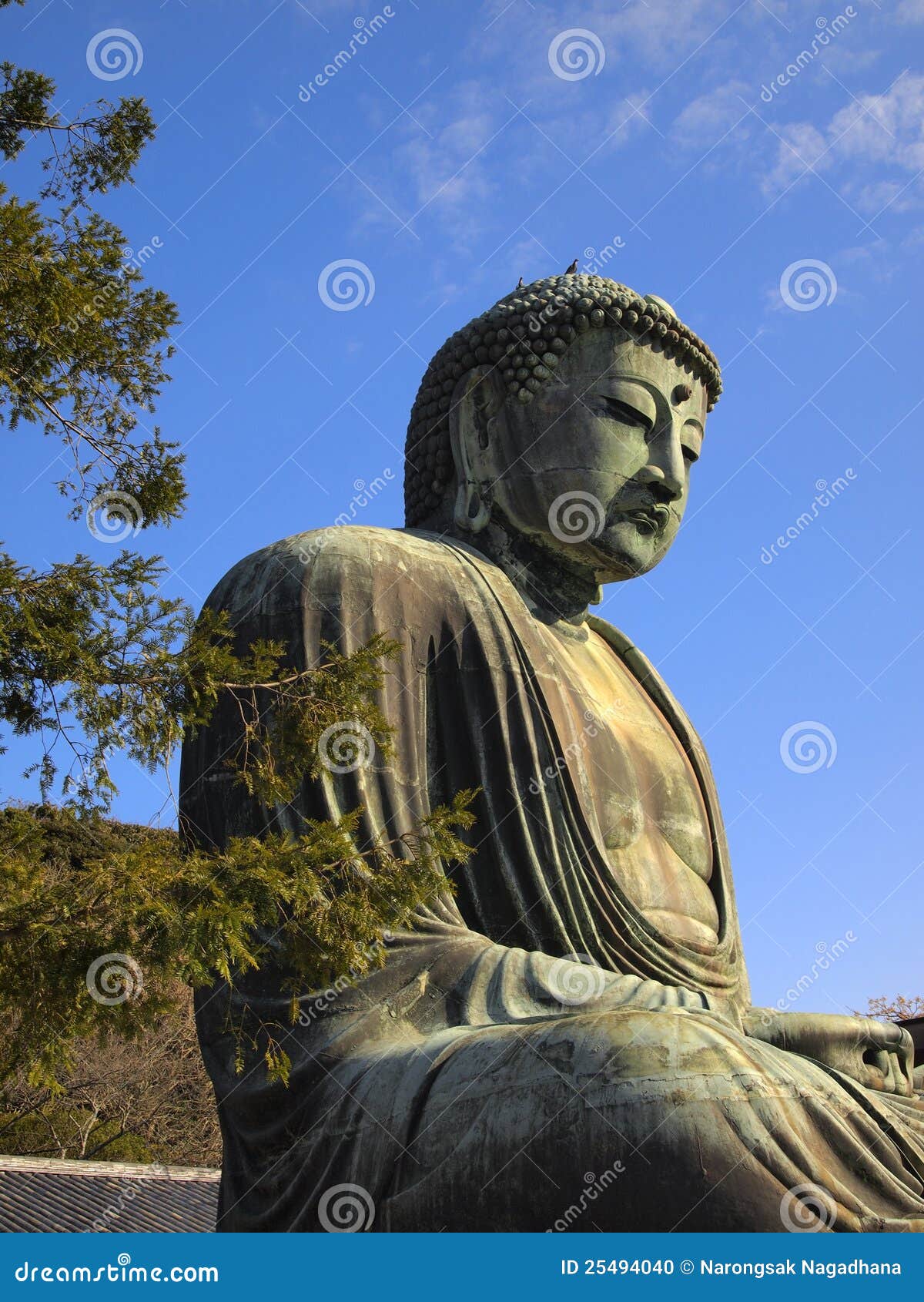 Buddha Statue in Kamakura, Japan Stock Photo Image of bronze, march
