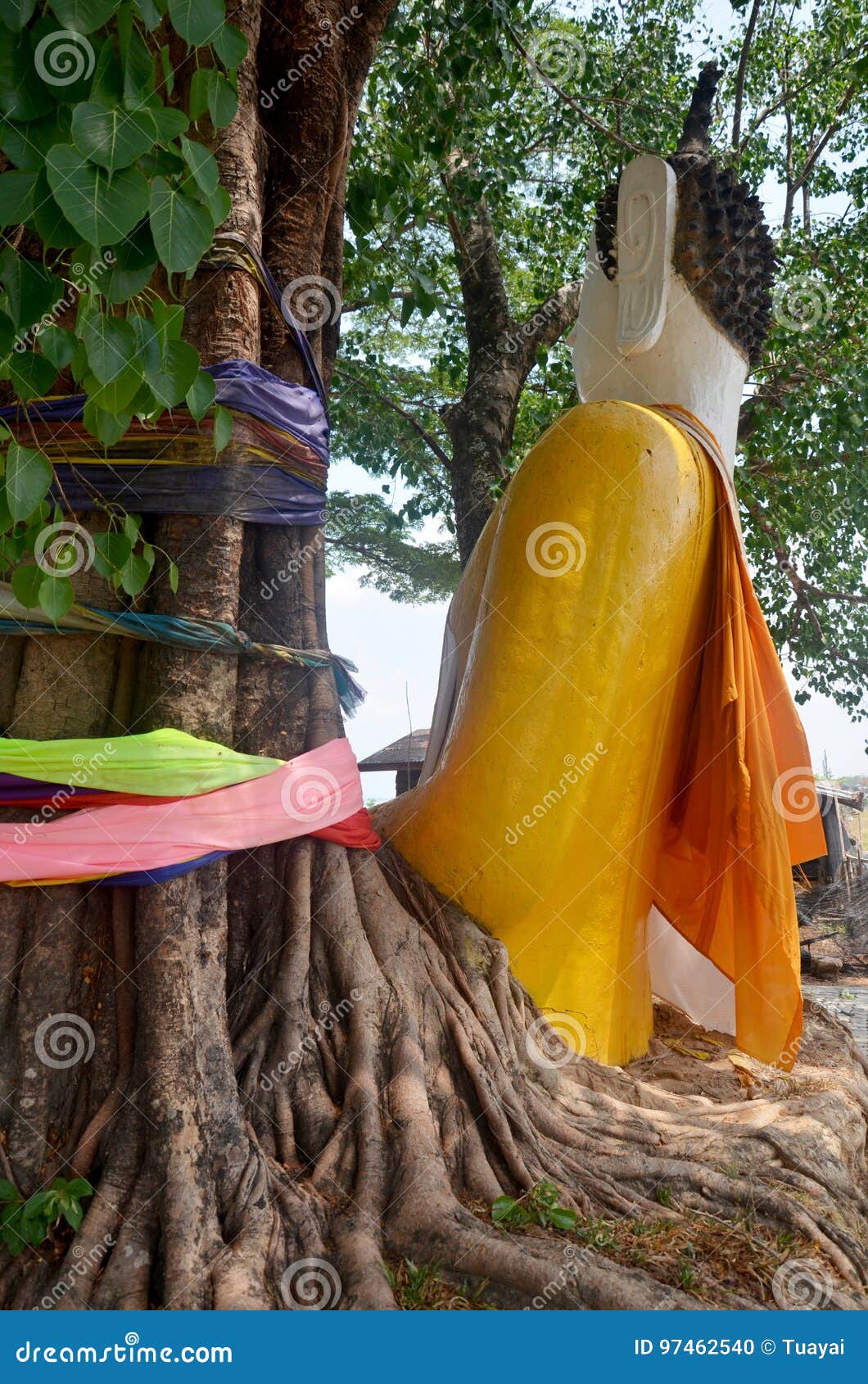 Buddha Statue in Root Tree at Pakse Stock Photo Image of laos, asia