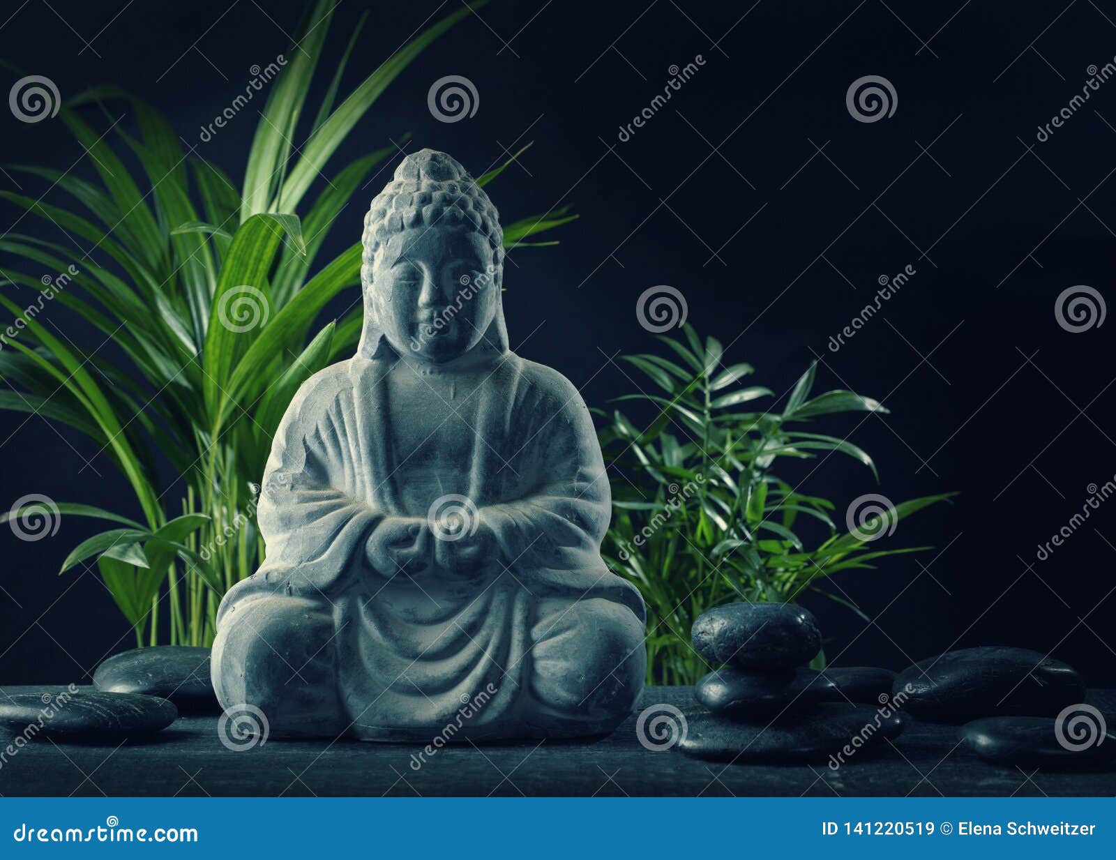 Buddha statue and stones stock image. Image of decoration 141220519