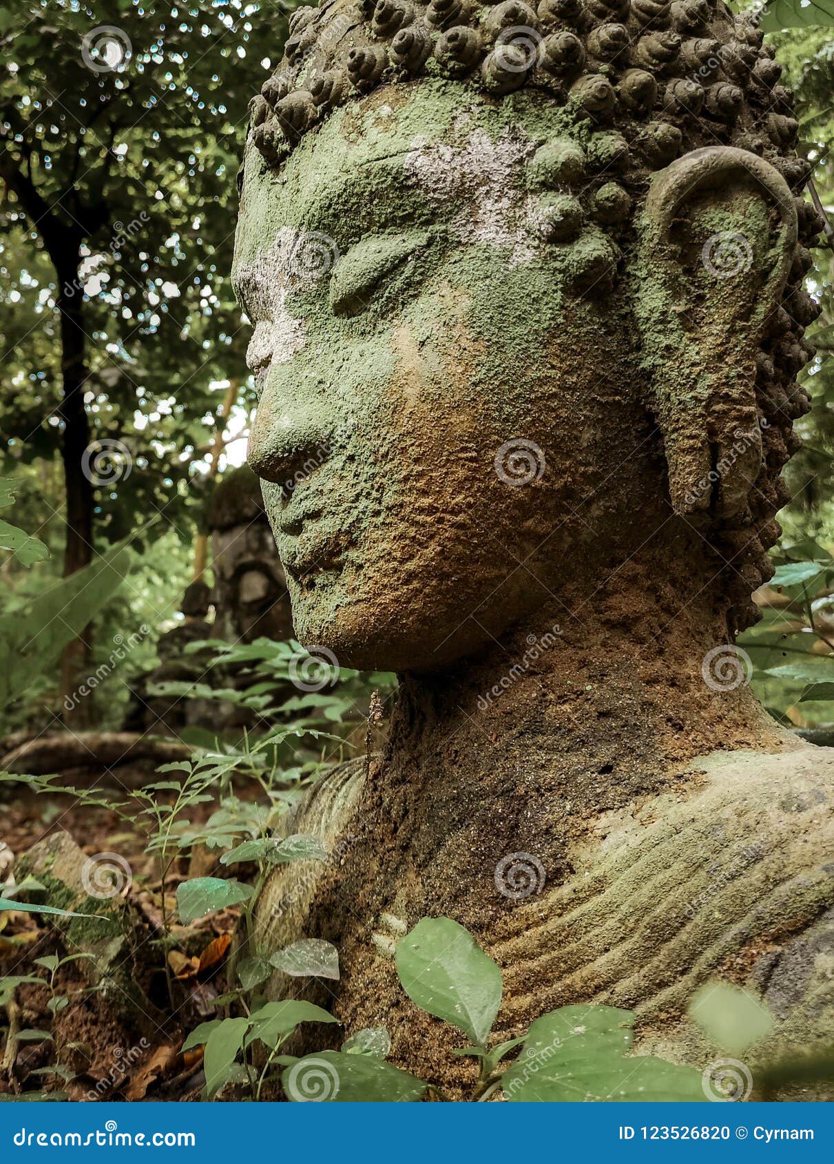 buddha vestige in green nature at wat umong, chiang mai, thailand, green buddha portrait covered with moss