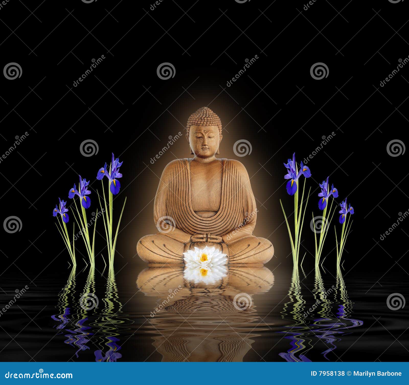 Buddha in Zen Garden stock photo. Image of black, growth 7958138