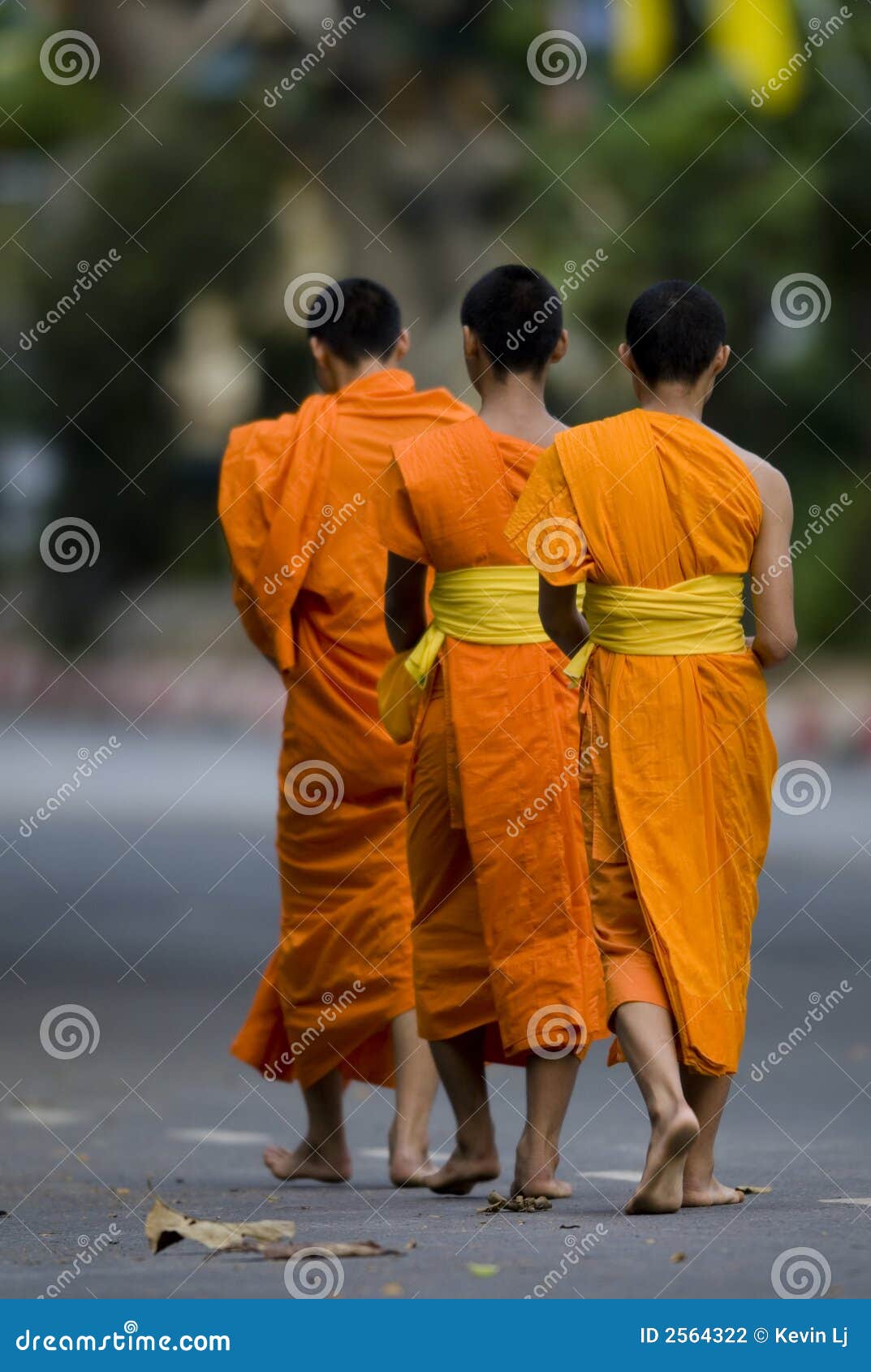 Buddhist monks walking 01 stock photo. Image of peaceful 2564322