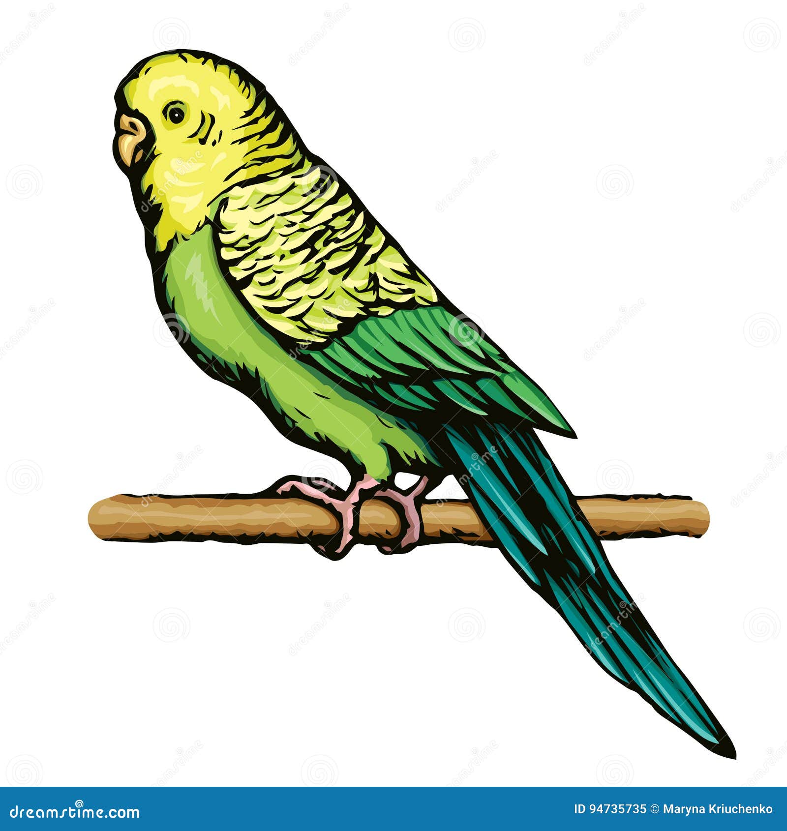 Волнистые попугаи векторное изображение