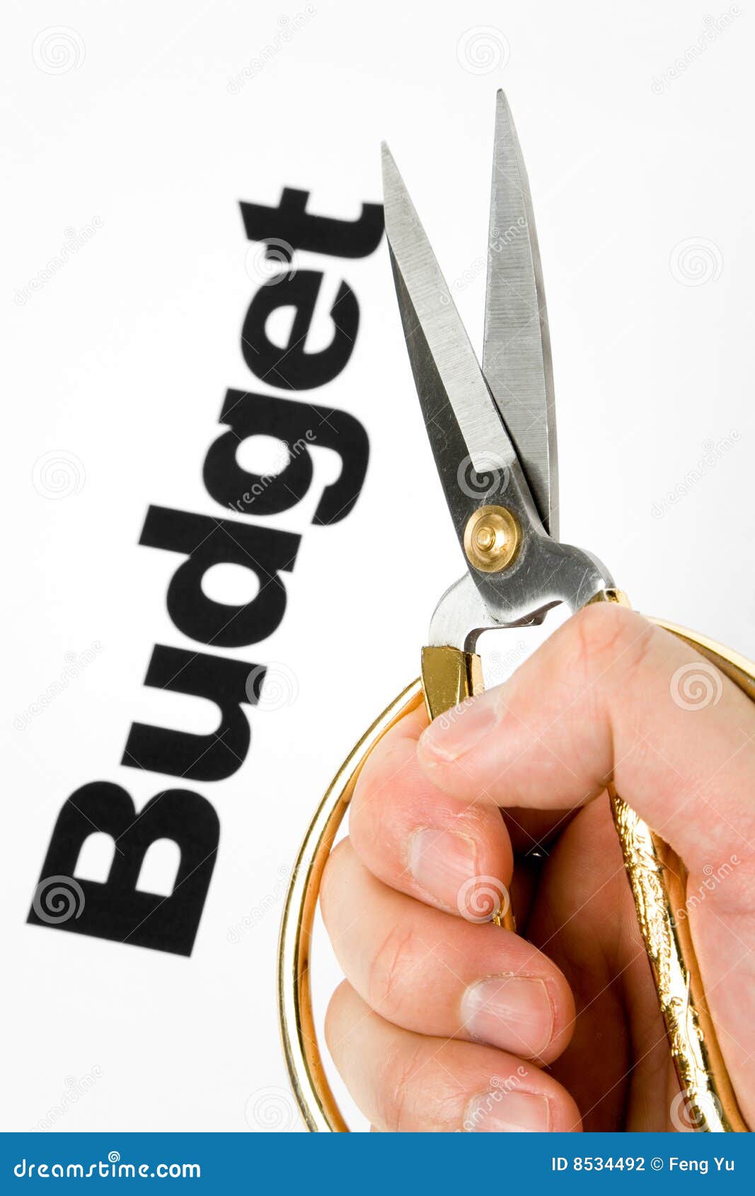 Budget Cut stock photo. Image of scissors, financial, expenditure 8534492