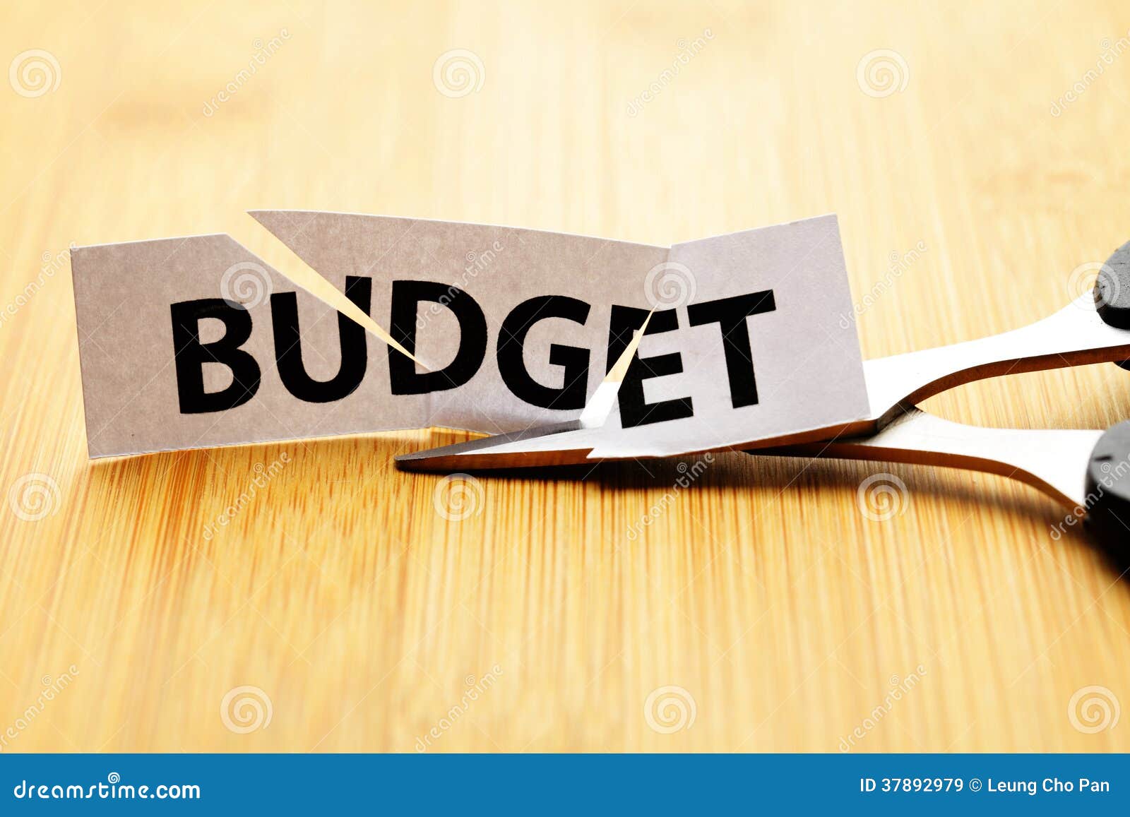 Budget cut stock image. Image of problem, cost, concepts 37892979