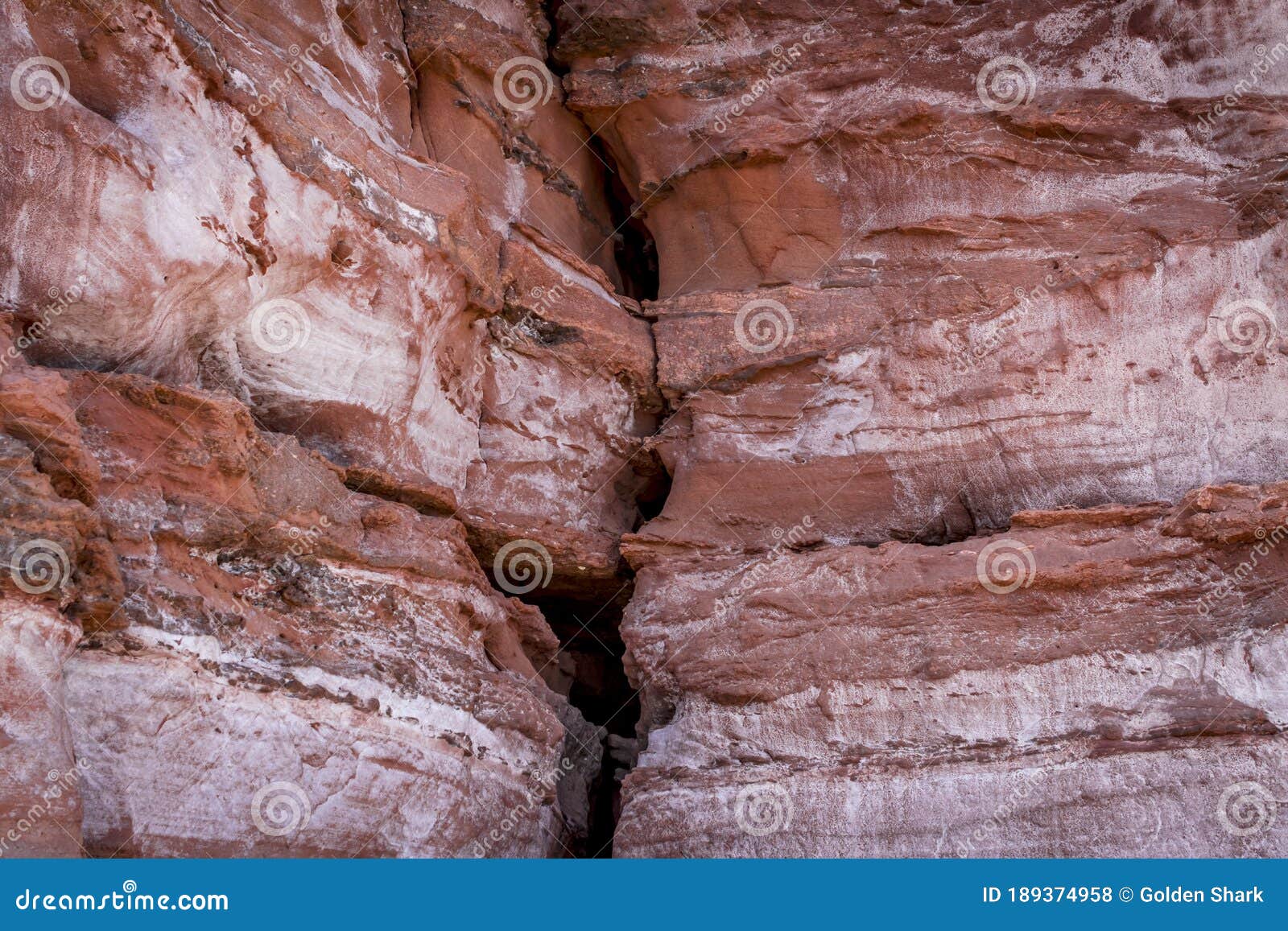 budleigh salterton mother off cliff and rock texture