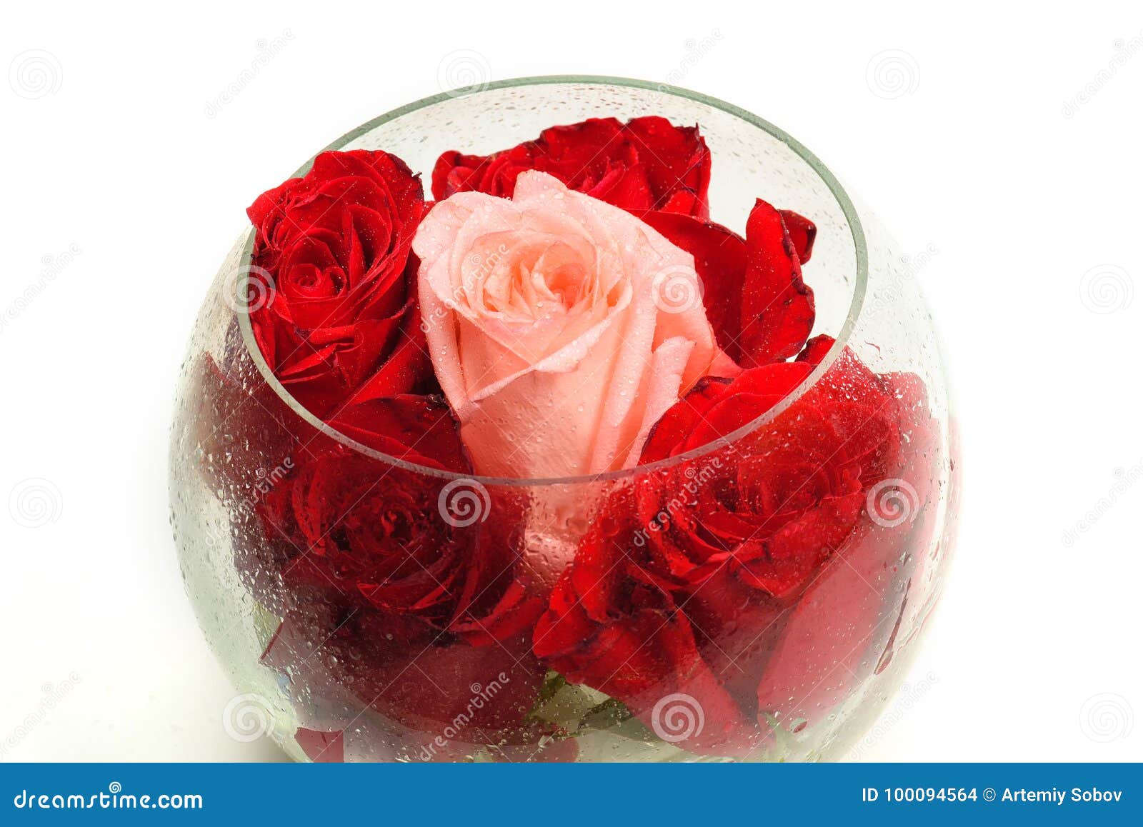 Buds of Roses in a Round Glass Vase on a White. Stock Photo Image of