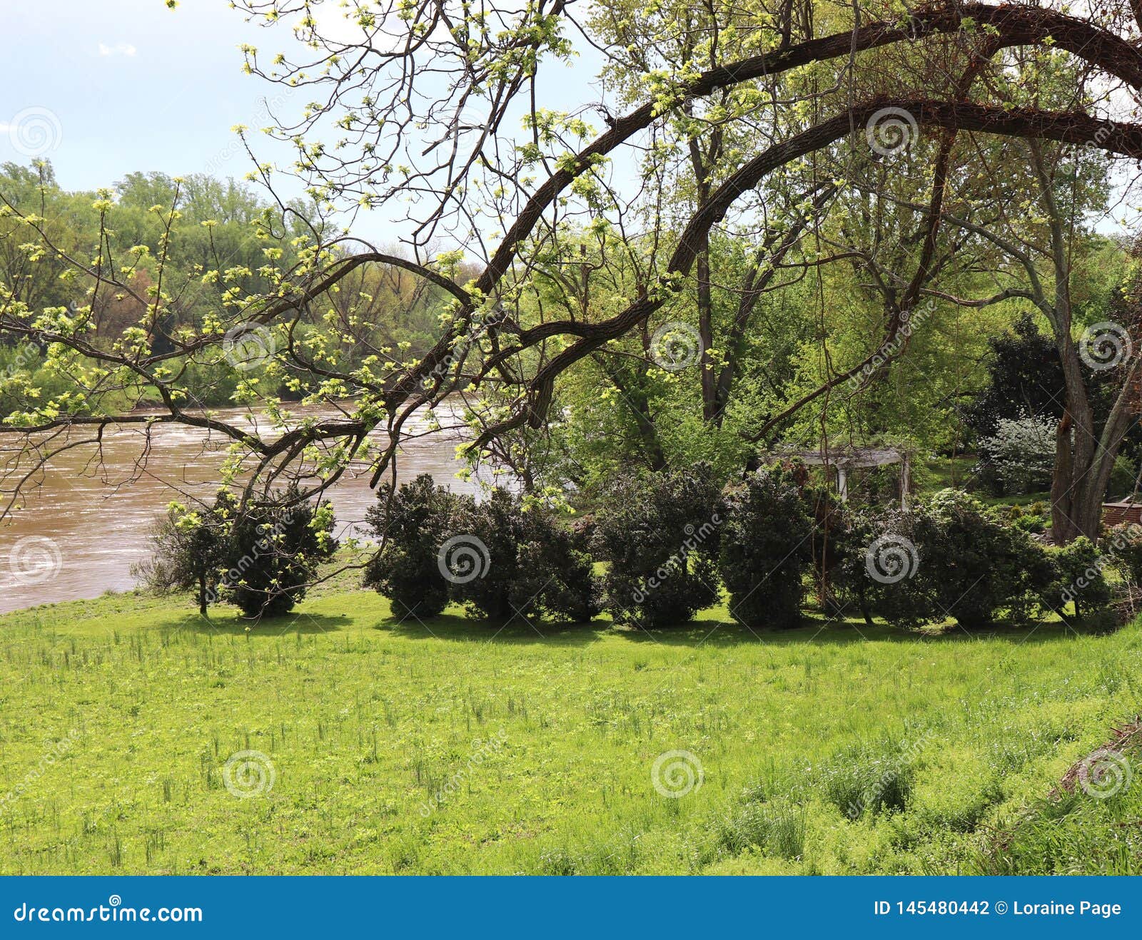nature`s abundance in early spring